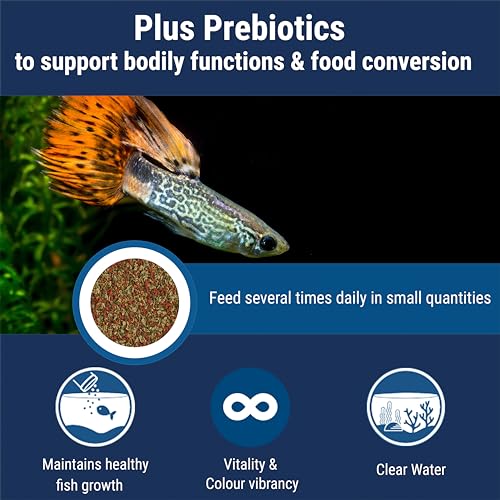 TetraMin Tropical Flake Fish Food - Nutritionally Balanced