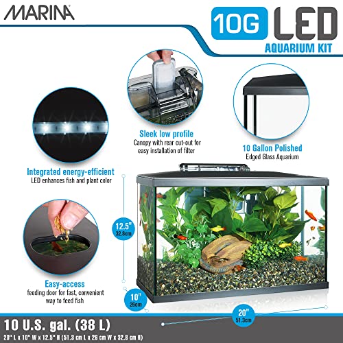 Marina 10 Gallon LED Aquarium Starter Kit