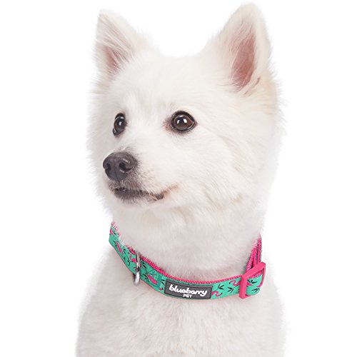 Pink Flamingo Adjustable Dog Collar for Medium Dogs
