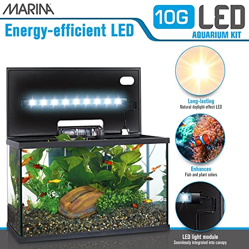 Marina 10 Gallon LED Aquarium Starter Kit