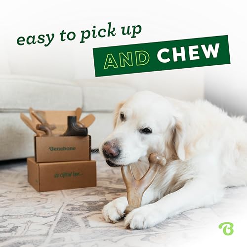 Benebone Small Dog Chew Toys for Aggressive Chewers