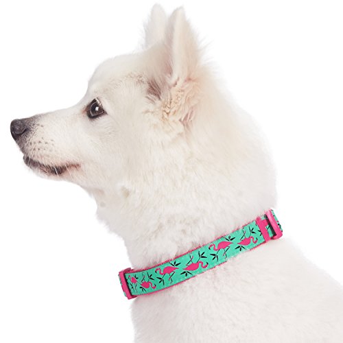 Pink Flamingo Adjustable Dog Collar for Medium Dogs