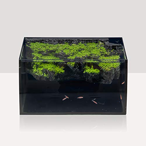 Hygger 8 Gallon Curved LED Aquarium Kit