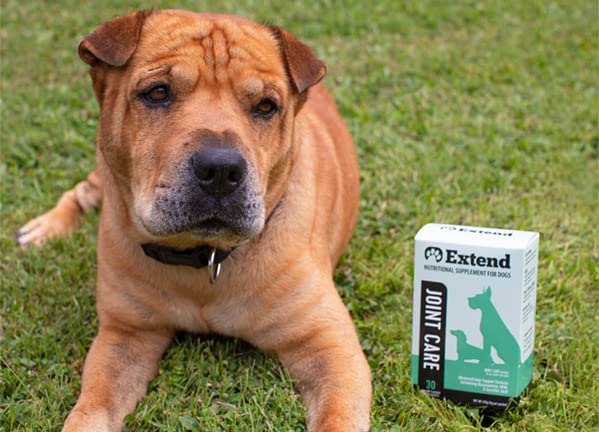 Joint Care for Dogs - Glucosamine, MSM & More