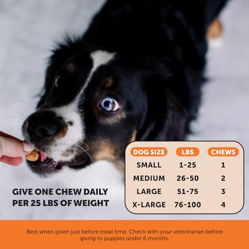 Senior Dog Joint Supplement with Hemp & Glucosamine