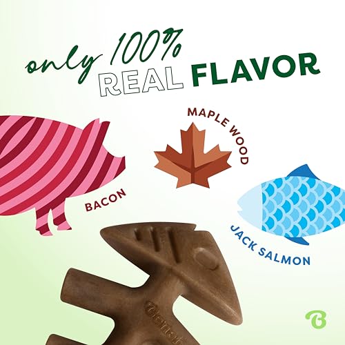 Benebone Small Dog Chew Toys for Aggressive Chewers