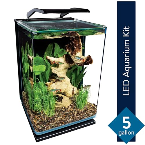 Marineland 5 Gallon LED Aquarium Kit with Filtration