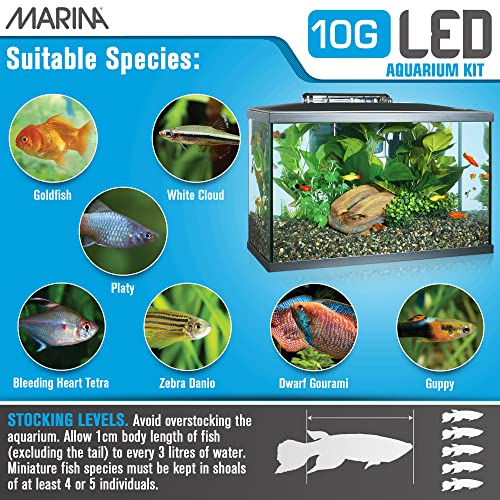 Marina 10 Gallon LED Aquarium Starter Kit