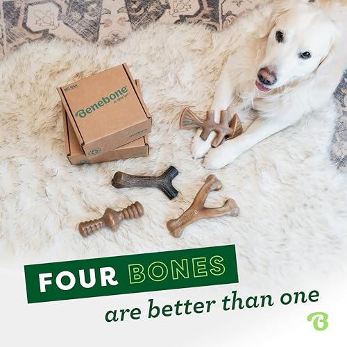 Benebone Small Dog Chew Toys for Aggressive Chewers