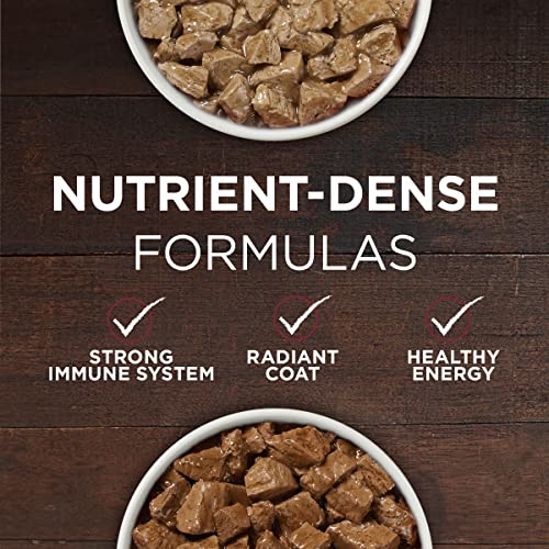 Purina ONE True Instinct High Protein Dog Food