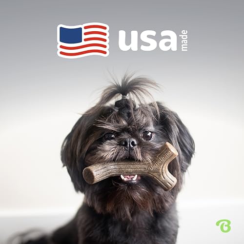 Benebone Small Dog Chew Toys for Aggressive Chewers