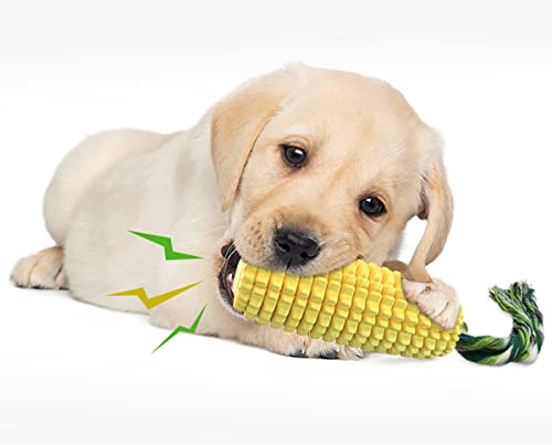 Indestructible Squeaky Dog Chew Toy for Aggressive Chewers