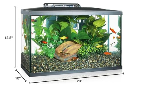 Marina 10 Gallon LED Aquarium Starter Kit