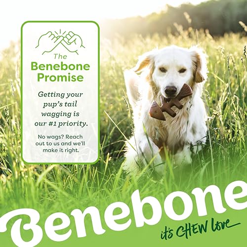 Benebone Small Dog Chew Toys for Aggressive Chewers