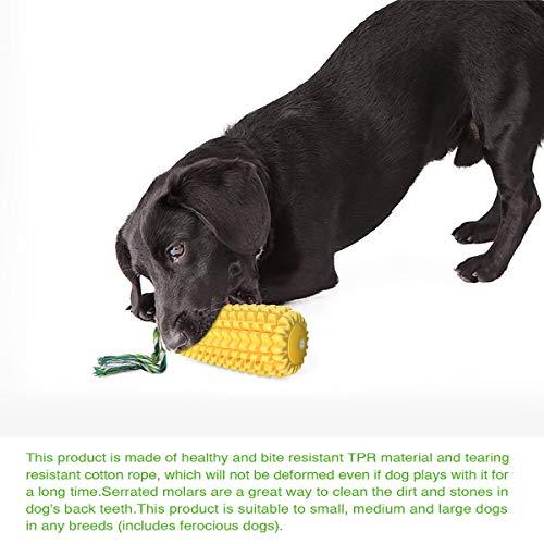 Indestructible Squeaky Dog Chew Toy for Aggressive Chewers