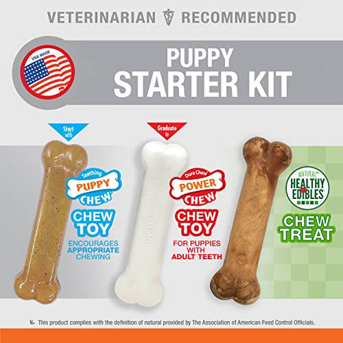 Nylabone Puppy Teething Toy Triple Pack