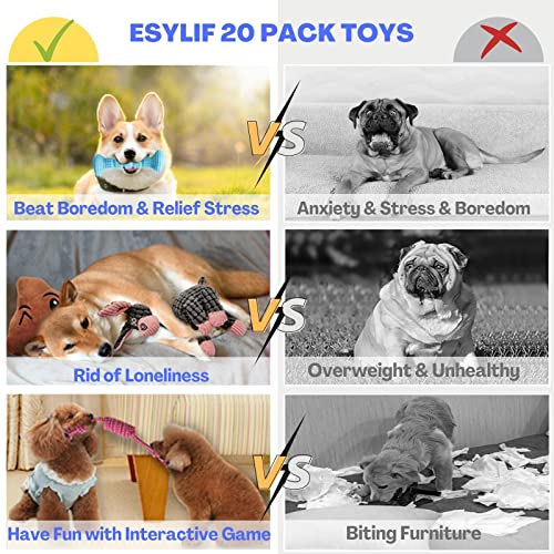 ESYLIF 20-Pack Dog Chew Toys for Puppies