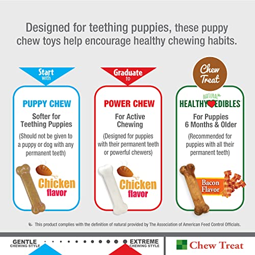 Nylabone Puppy Teething Toy Triple Pack