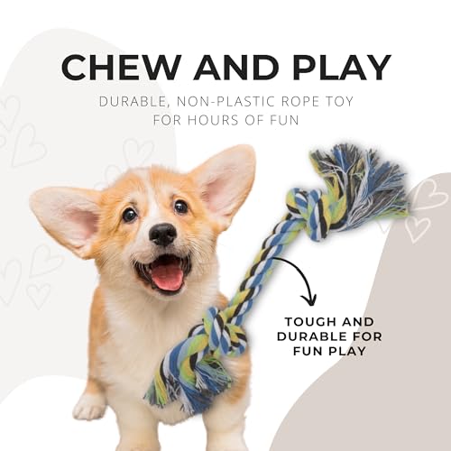 Calming Heartbeat Snuggle Puppy for Dog Anxiety
