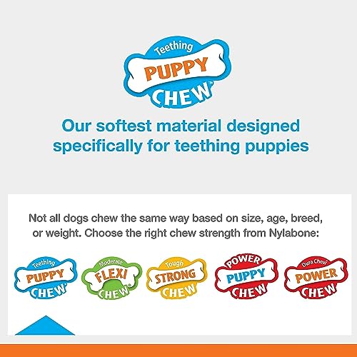 Nylabone Puppy Teething Toy Triple Pack
