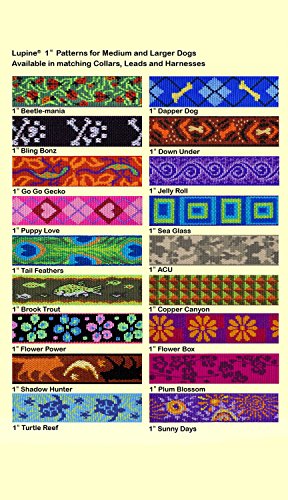 LupinePet Flower Power Adjustable Dog Collar