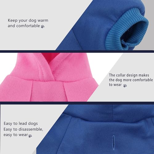 Stylish Pink Chihuahua Dog Hoodie for All Seasons