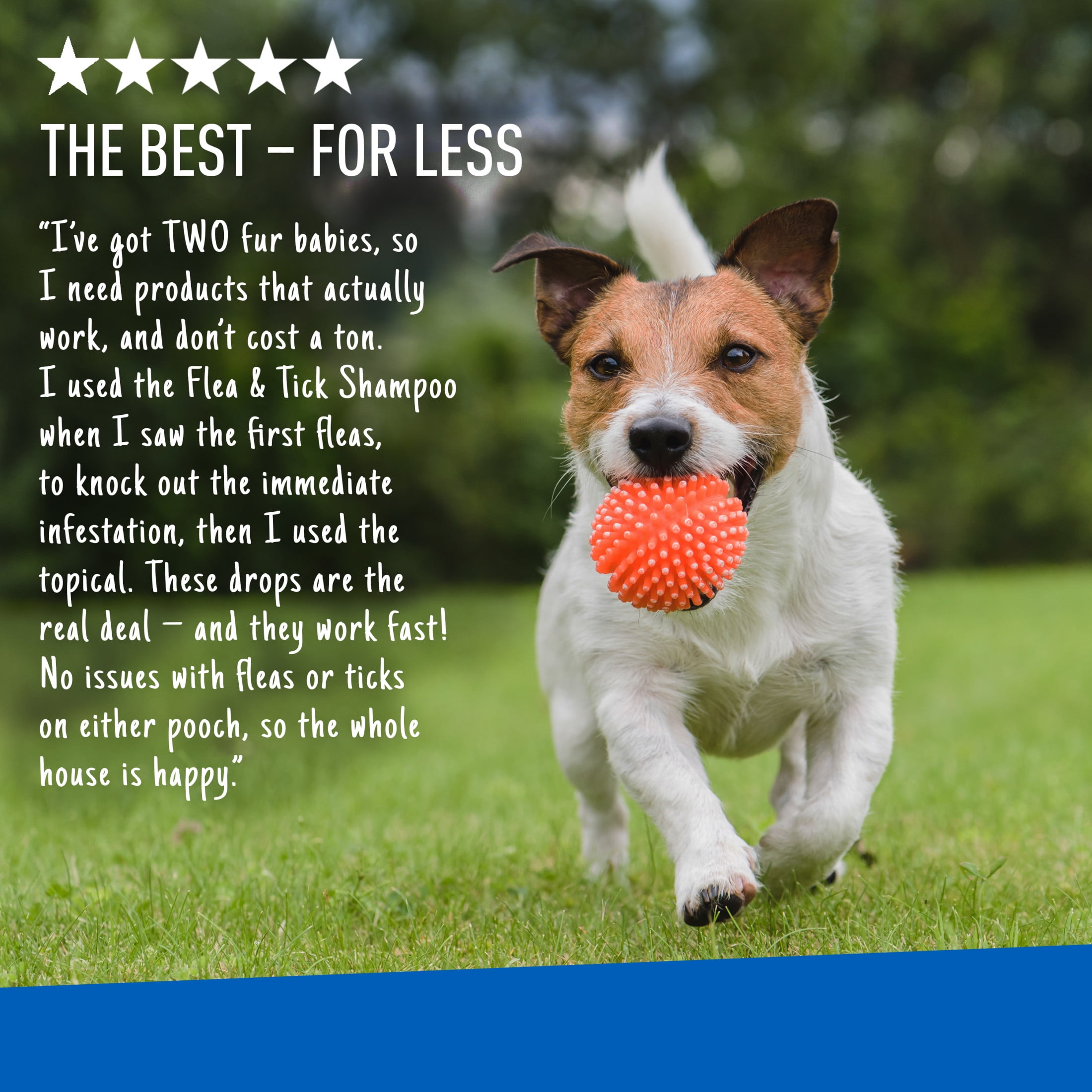 Adams Plus Spot On for Small Dogs