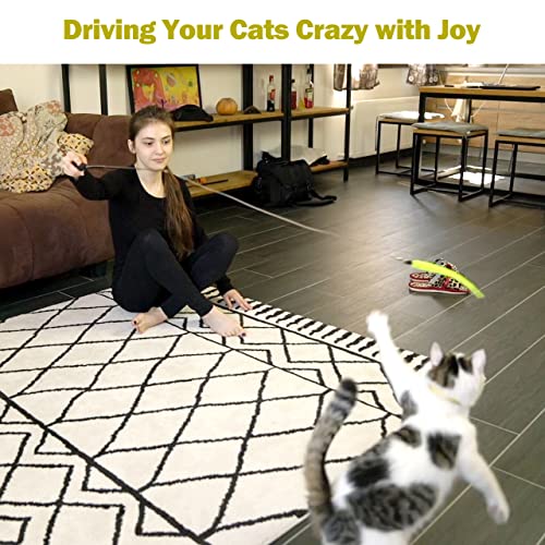 MeoHui Interactive Retractable Wand & Feather Cat Toys