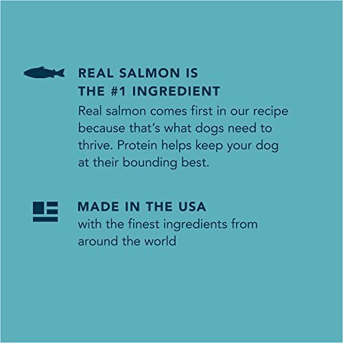 Wag Salmon & Brown Rice Dog Food, 5lb