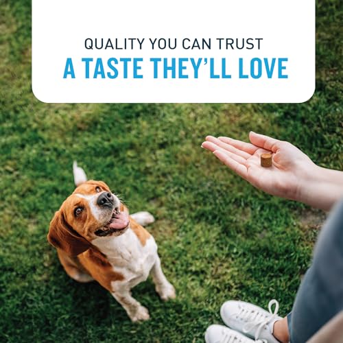 VetIQ Glucosamine Dog Joint Support Chews, 180 Count