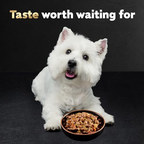 Cesar Wet Dog Food Variety Pack (24)