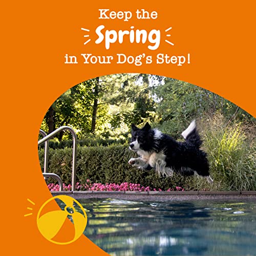 Zesty Paws Hip and Joint Chews for Dogs