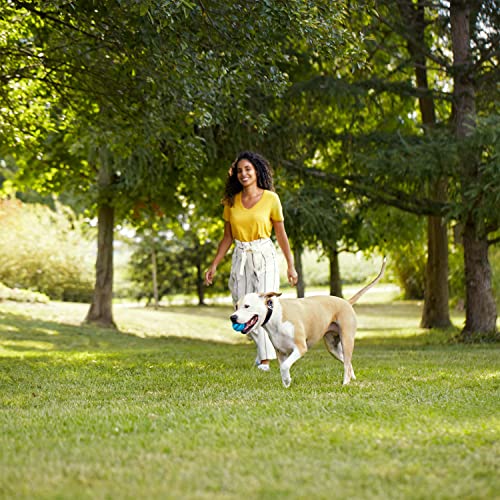 Rachael Ray Nutrish Dog Food - Chicken & Veggie