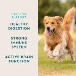 VetIQ Dog Multivitamin for Brain and Immunity