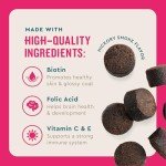 VetIQ Dog Multivitamin for Brain and Immunity