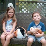 Adorable Mommy Hamster with Baby Guinea Pig Plushies