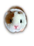 Kawaii Mini Plush Hamster Stuffed Animal