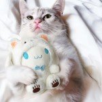 Cinna 9-Inch Kawaii Soft Plush Toy