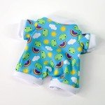 Cute 9-Inch Frog Kawaii Plush Toy