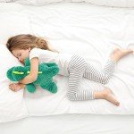 Cuddly 16" Green Dinosaur Kawaii Plush Toy