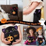 Two-Sided Black Cat Kawaii Plush Pillow