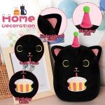 Kawaii Black Cat Plush with Birthday Cake