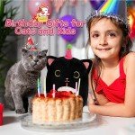 Kawaii Black Cat Plush with Birthday Cake