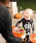Adorable 12-Pc Halloween Animal Plush Keychains
