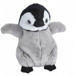 Adorable Mini Penguin Kawaii Plush Toy - 6”