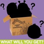 Kawaii Squishmallow Plush Mystery Box - 5-Pack