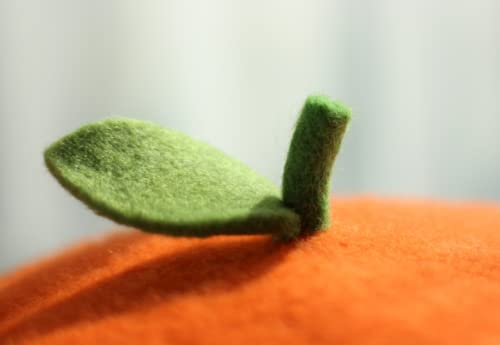 Kawaii Orange Beret Hat for Cute Styles