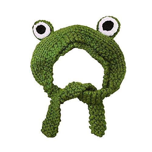 Cute Crochet Frog Earflap Beanie Hat for Girls