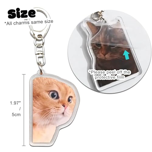 Kawaii Cat Meme Keychain Set - 8 Pcs