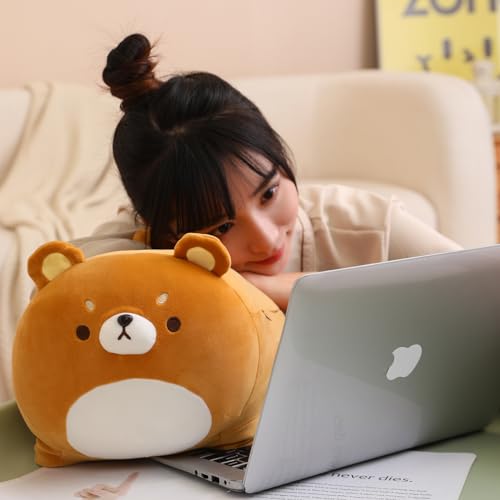 Auspicious Brown Bear Kawaii Plush Toy - 16